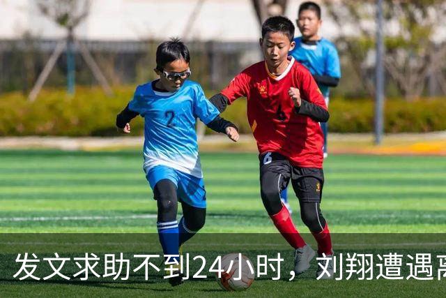 发文求助不到24小时，刘翔遭遇离谱一幕，移民传闻早已水落石出