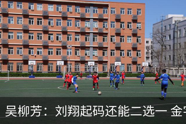 吴柳芳：刘翔起码还能二选一 金字塔是塔基重要还是塔尖更关键？