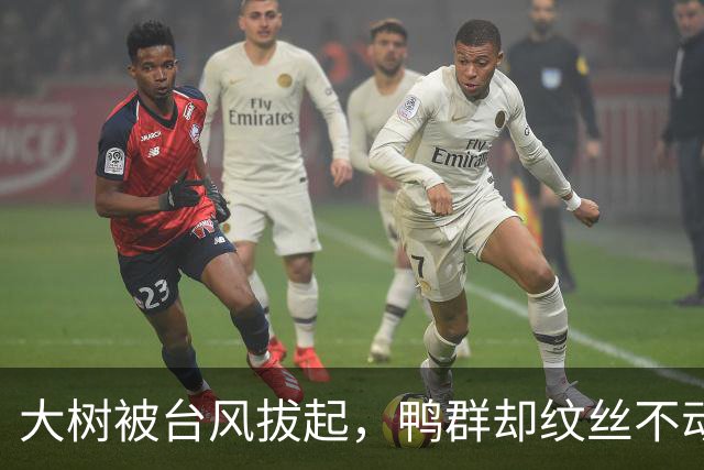 大树被台风拔起，鸭群却纹丝不动？终于明白歼20为何采用鸭式布局