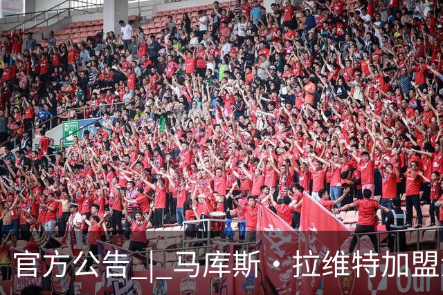 官方公告 | 马库斯·拉维特加盟河南焦作文旅男篮